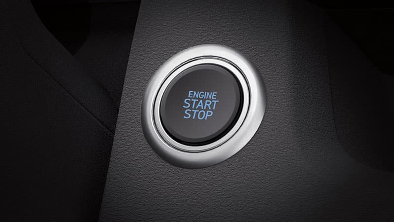 Stargazer Tiện nghi