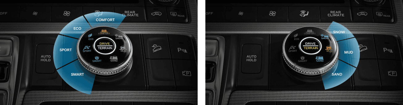 Palisade Vận hành