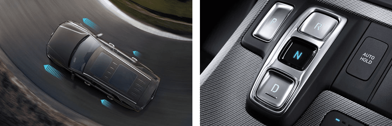 Palisade Vận hành